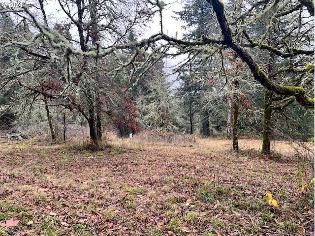 Nw PLAINVIEW Rd, Portland, OR 97231