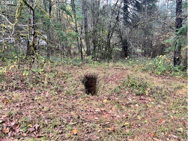 Nw PLAINVIEW Rd, Portland, OR 97231