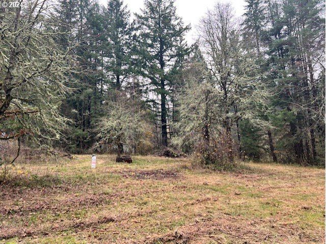 Nw PLAINVIEW Rd, Portland, OR 97231