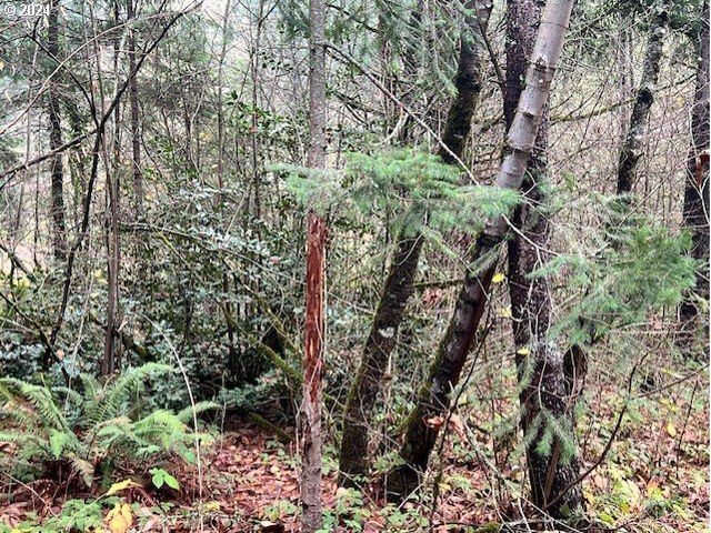 Nw PLAINVIEW Rd, Portland, OR 97231