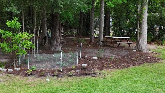 1194 Rainbow Dr., Loris, SC 29569