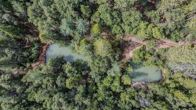 12350 Eldel Road, Pine Grove, CA 95665