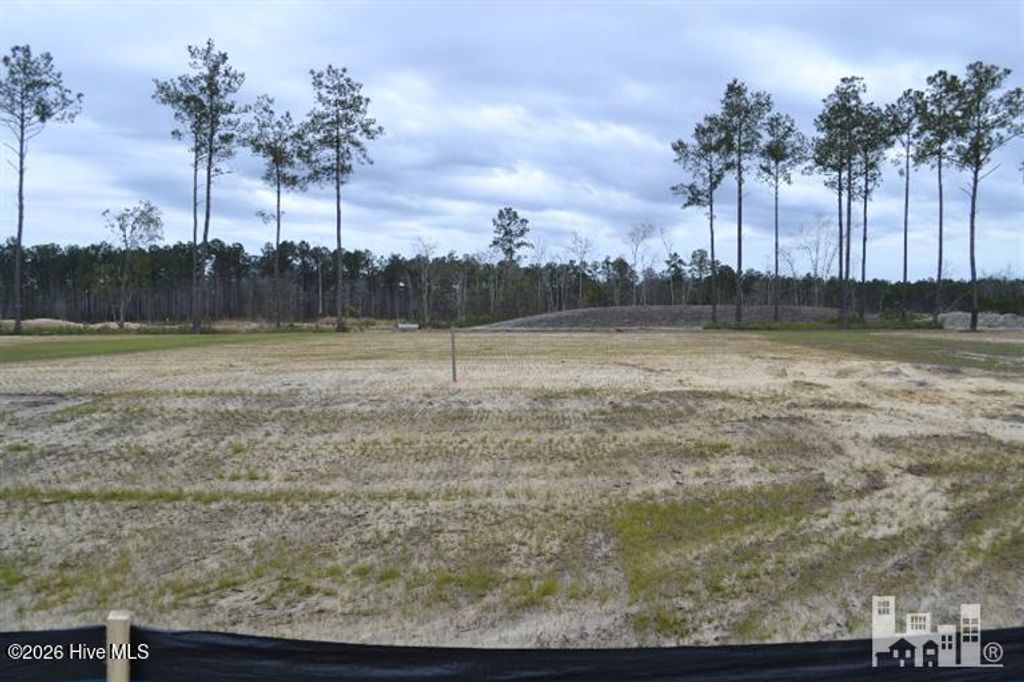4117 Sea Salt Street, Leland, NC 28451