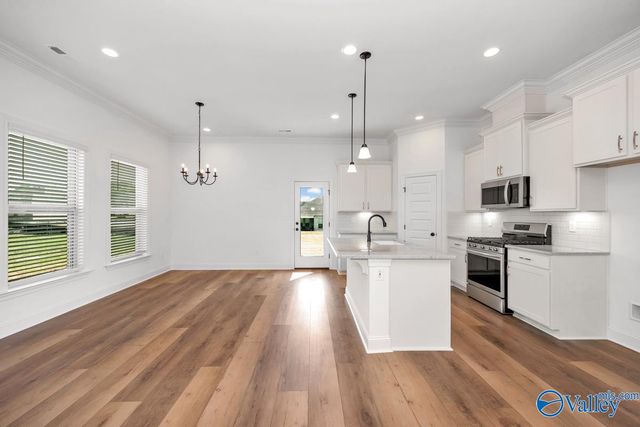 17718 Chenin Blanc Place, Athens, AL 35613