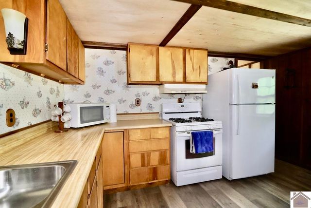 124 dustin rd, Kuttawa, KY 42055