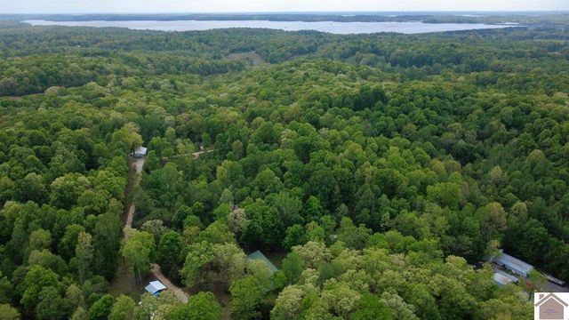 124 dustin rd, Kuttawa, KY 42055
