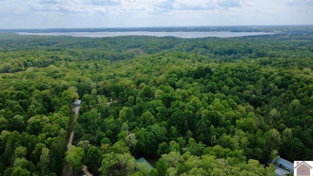 124 dustin rd, Kuttawa, KY 42055
