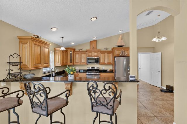 3830 GRIFFIN VIEW DRIVE, Lady Lake, FL 32159