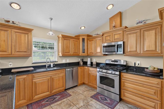 3830 GRIFFIN VIEW DRIVE, Lady Lake, FL 32159