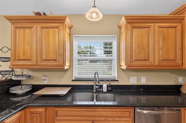 3830 GRIFFIN VIEW DRIVE, Lady Lake, FL 32159
