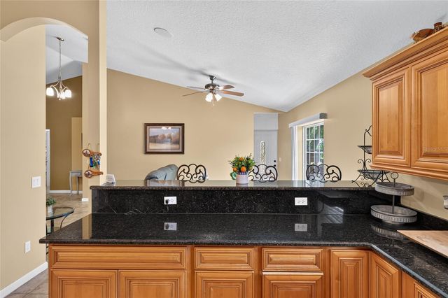 3830 GRIFFIN VIEW DRIVE, Lady Lake, FL 32159