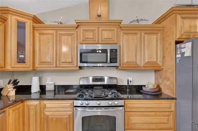 3830 GRIFFIN VIEW DRIVE, Lady Lake, FL 32159