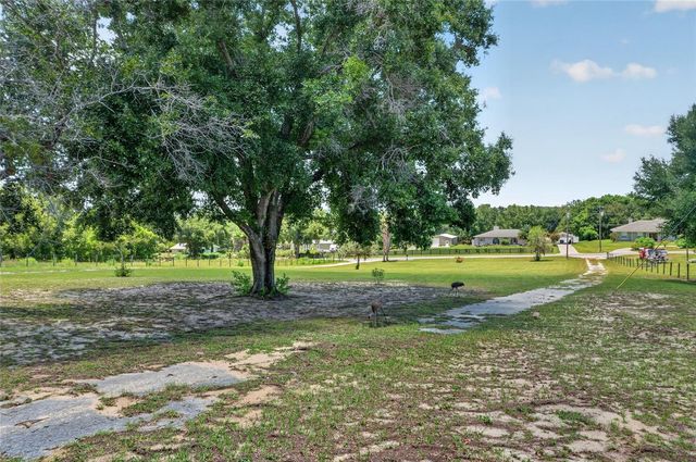 3830 GRIFFIN VIEW DRIVE, Lady Lake, FL 32159