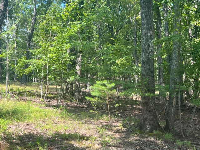 594 Lookout Crest Lane, Lookout Mountain, GA 30750
