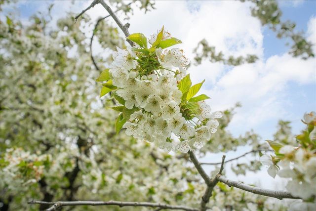 727 S Basalt Rd, Spokane, WA 99224