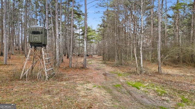 145 Moores Ferry Drive SW, Plainville, GA 30733