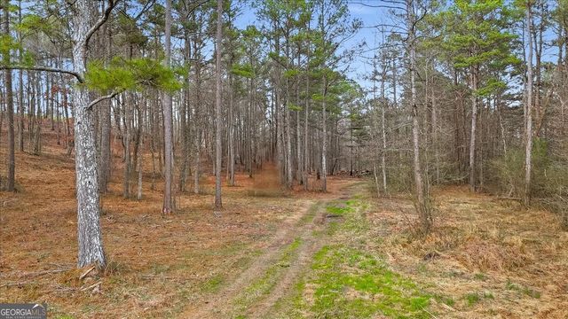 145 Moores Ferry Drive SW, Plainville, GA 30733