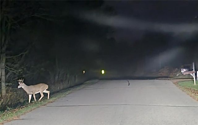 W11601 Sand Road, Merrillan, WI 54754