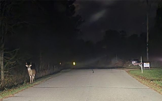 W11601 Sand Road, Merrillan, WI 54754