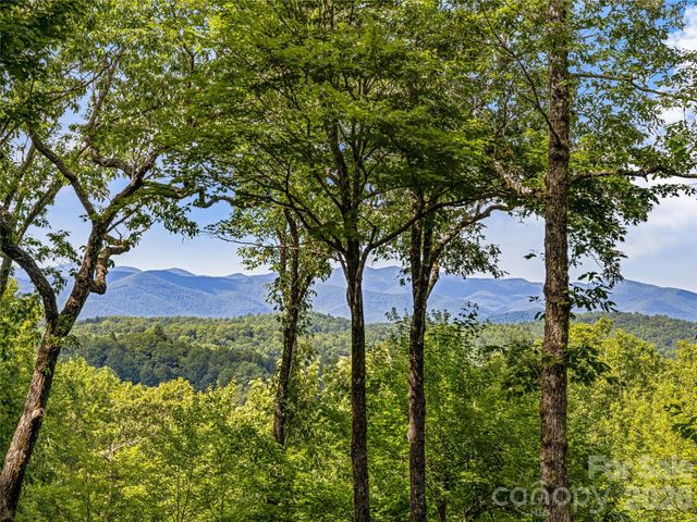 796 Hawk Mountain Road 36r, Lake Toxaway, NC 28747