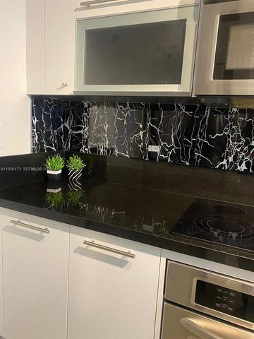 244 Biscayne Blvd 1605, Miami, FL 33132