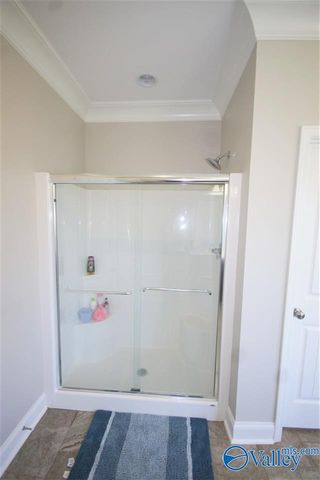 196 Fernbridge Boulevard, Madison, AL 35758