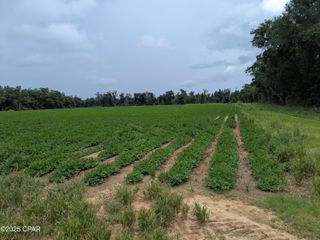 0 Sr-71, Malone, FL 32445