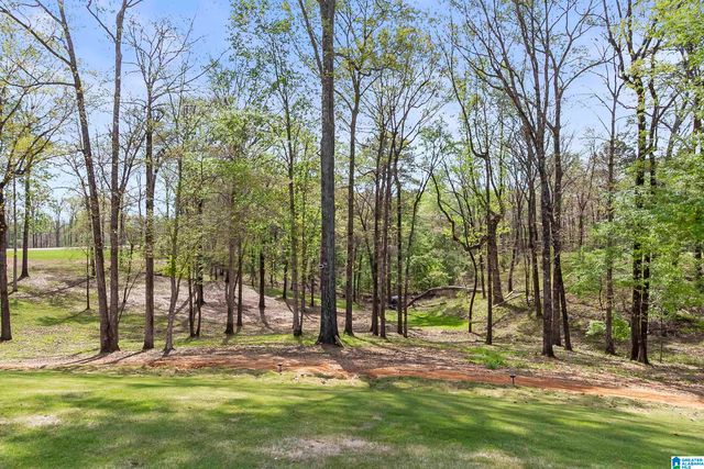 14228 WATERCOLOR DRIVE, Northport, AL 35475