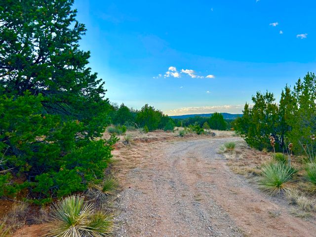56 THOMAS Road, Edgewood, NM 87015