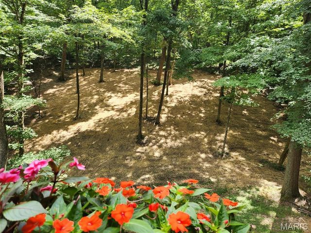 832 Stone Bridge Springs Drive, Wildwood, MO 63005