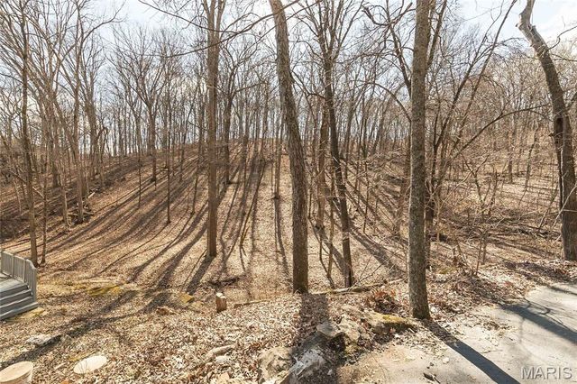 832 Stone Bridge Springs Drive, Wildwood, MO 63005