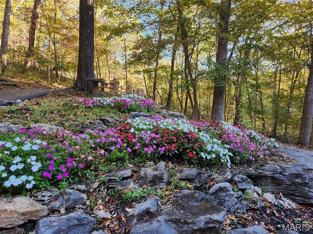 832 Stone Bridge Springs Drive, Wildwood, MO 63005