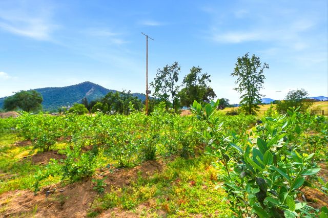 39348 Dunlap Road, Yokuts Valley, CA 93675