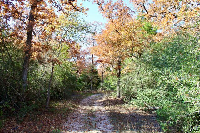 1245 PR 3063, Lexington, TX 78947