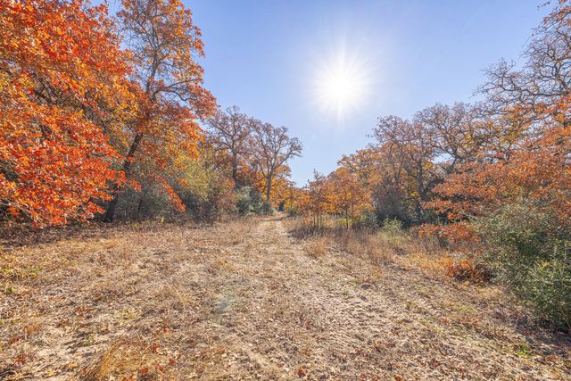 1245 PR 3063, Lexington, TX 78947