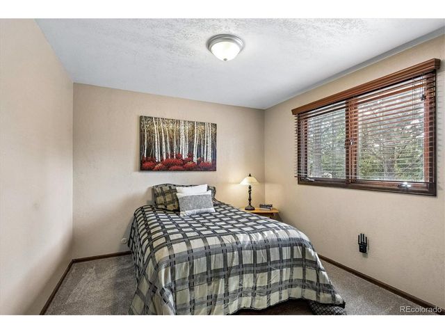 8488 Lakeview Dr, Parker, CO 80134