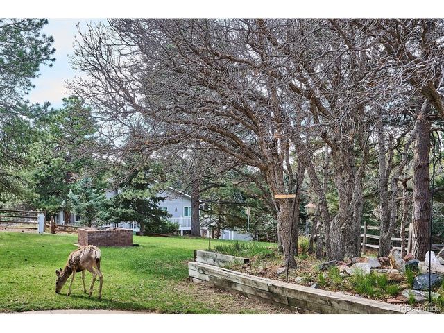 8488 Lakeview Dr, Parker, CO 80134