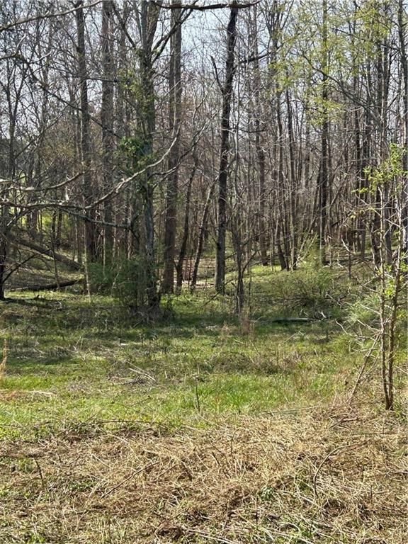 0 Browning Road, Fairmount, GA 30139