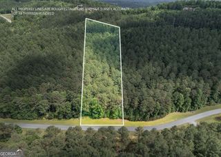 LOT 48 Thirteen Hundred, Blairsville, GA 30512