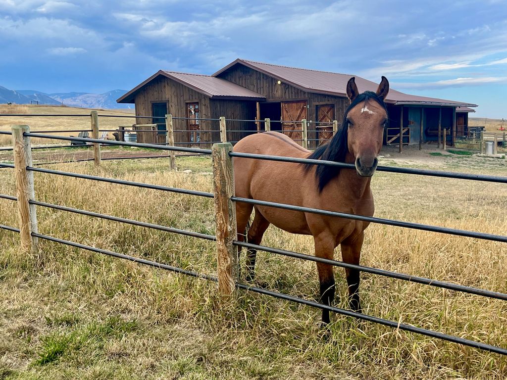 838 Hwy 335, Big Horn, WY 82833 photo 72