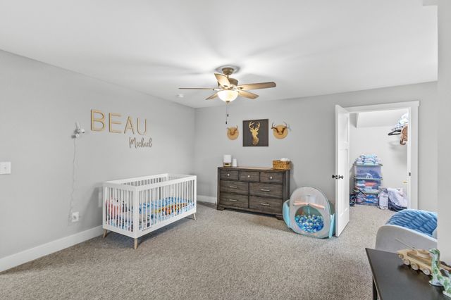 607 Old Columbia Rd, Unionville, TN 37180