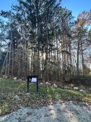 6825 Morrison Hls Court, Dexter, MI 48130