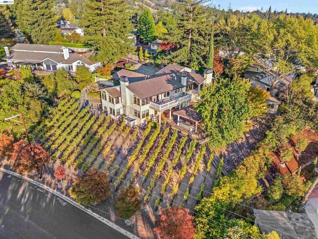 13 Kemp Court, Alamo, CA 94507