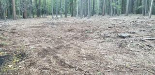 Lake McCumber Road, Shingletown, CA 96088