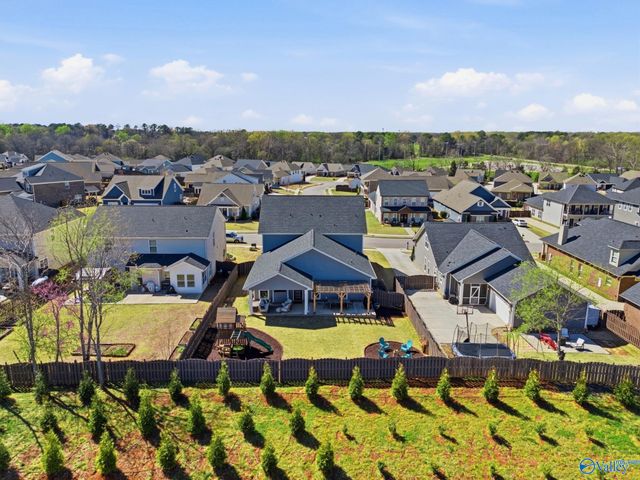 123 Cormorant Landing, Madison, AL 35758