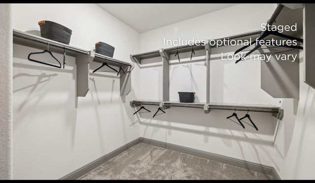 26723 Texas Lantana Lane, Montgomery, TX 77316