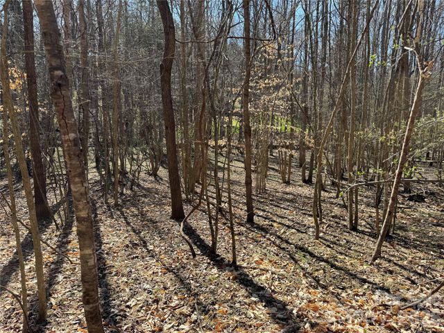 5700 Bentley Ridge Drive 12, Davidson, NC 28036