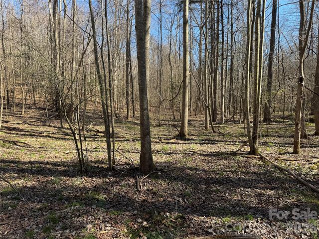 5700 Bentley Ridge Drive 12, Davidson, NC 28036