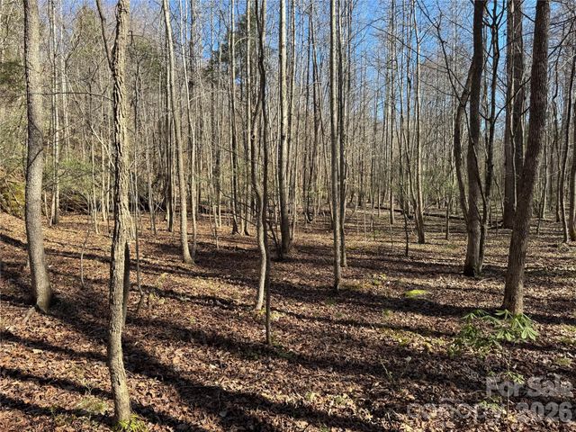 5700 Bentley Ridge Drive 12, Davidson, NC 28036