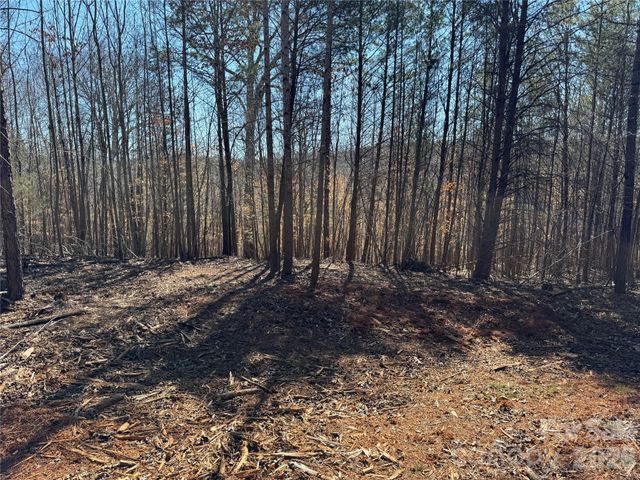 5700 Bentley Ridge Drive 12, Davidson, NC 28036